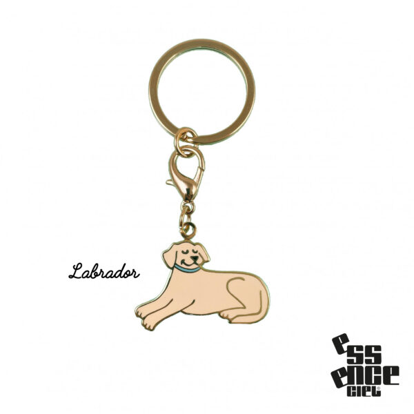 Porte-clé, médaille.