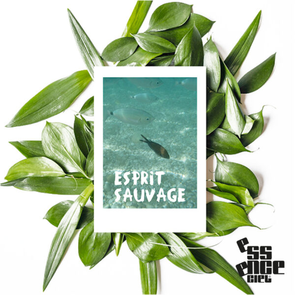 Carte postale, mantra
